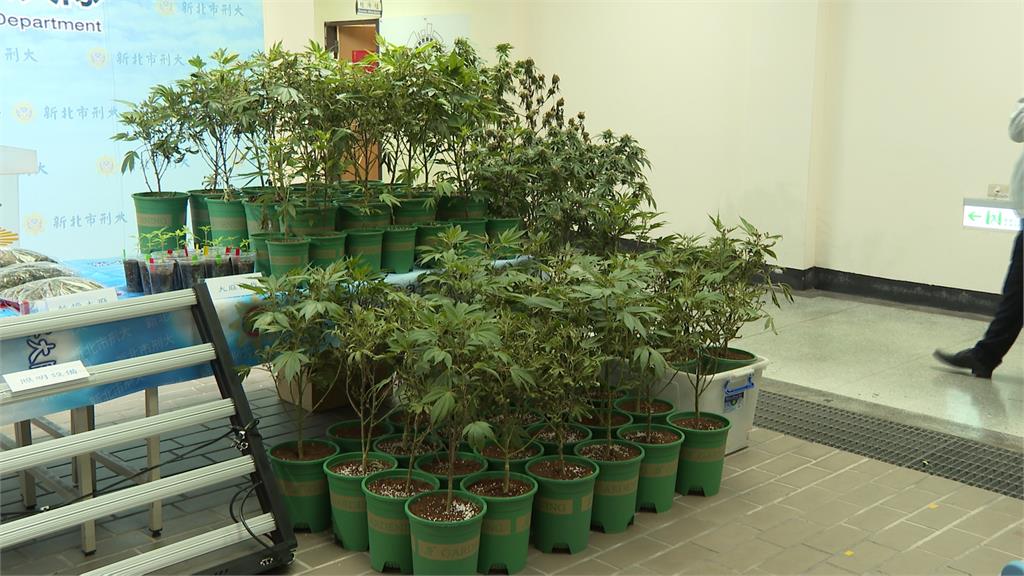 看護工嫌2萬低薪改當毒師　小吃店變販毒站還外送