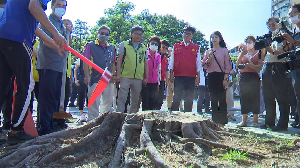 台南連4天登革熱新增破百　台南、高雄開學前大清消