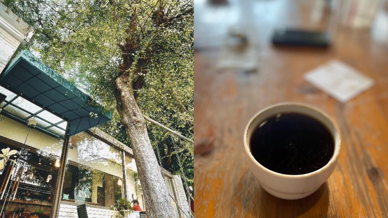 台南咖啡館遭刷1星負評罵「台派、青鳥」！老闆霸氣甩1圖：我愛我的國家