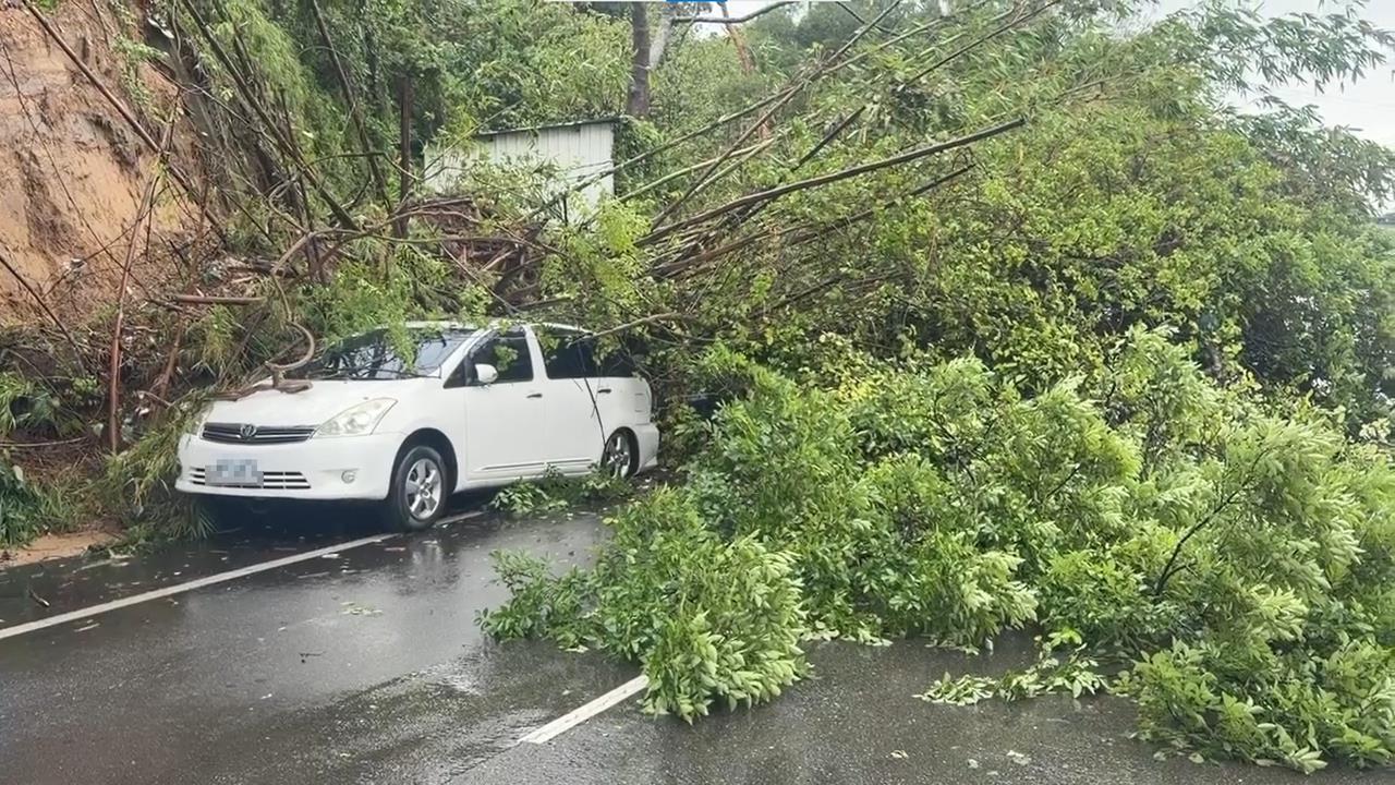 快新聞／北台灣強降雨釀災情　竹東土石滑落、路樹倒塌畫面曝光