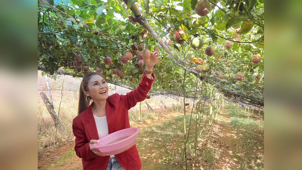 知名演員梁佑南力挺果農！打工換果樂開懷！