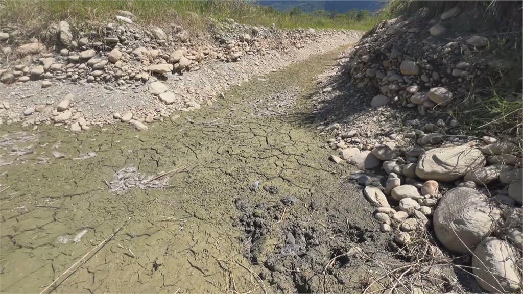 台東富興部落水源被震斷？　濕地幾乎全乾魚群大量死亡