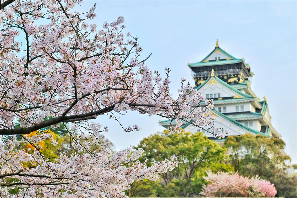 去日本玩「中午12點才起床」他大傻眼！一票網友狂點頭曝原因