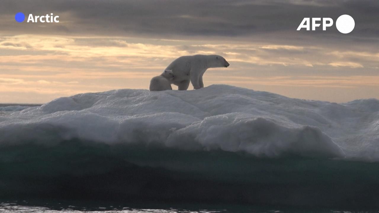 巴西女航海家獨自航越北極 見證氣候暖化、海冰大減