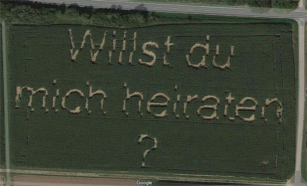 超浪漫！德國男子種玉米變「求婚訊息」 Google地圖全拍下
