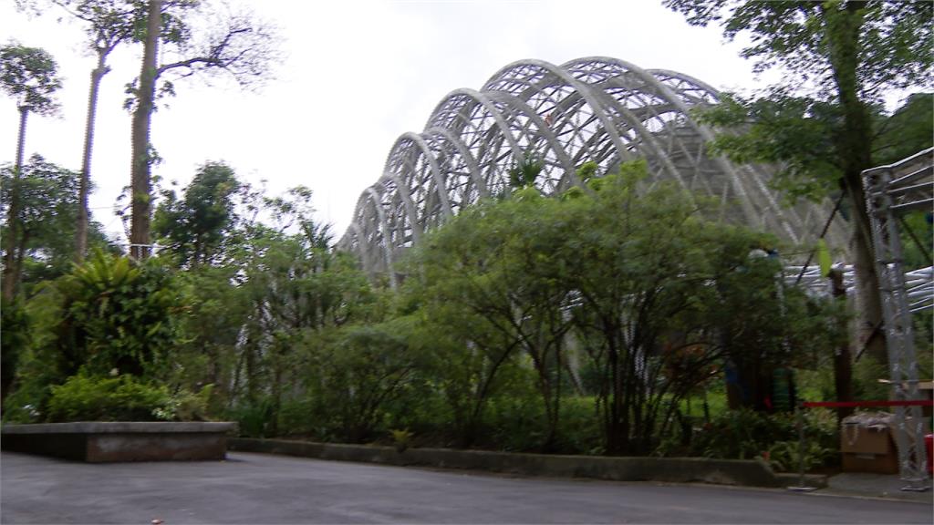 木柵動物園「熱帶雨林」館8日開幕！水豚等新動物陸續亮相