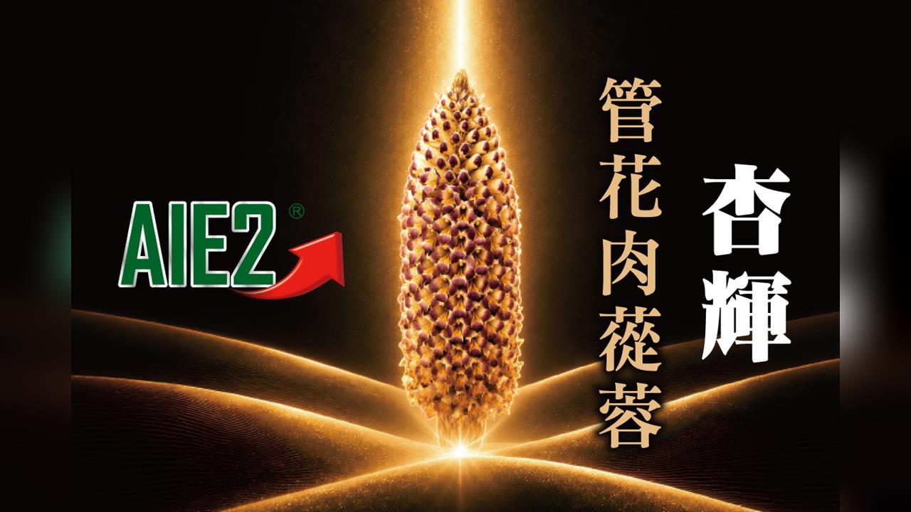 杏輝發表《管花肉蓯蓉》專書 從沙漠本草到科學研究驗證