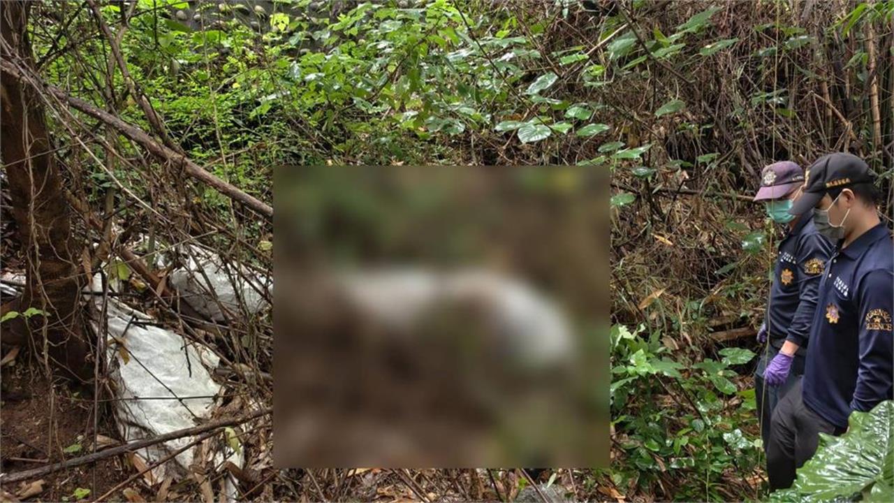 快新聞／彰化「木乃伊女屍」身分曝光！保鮮膜裹屍藏荔枝園　連日豪雨沖出真相