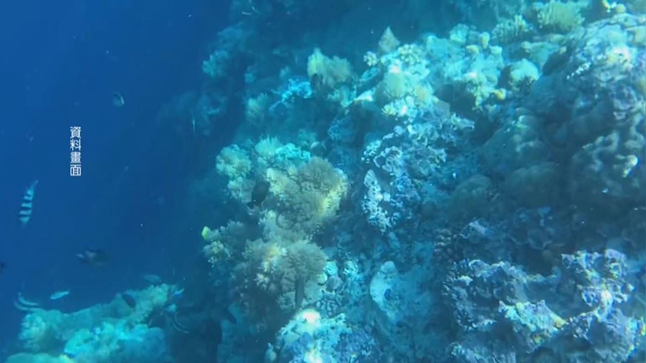 全球首位！　帛琉總統惠恕仁海中接受「美人魚」專訪