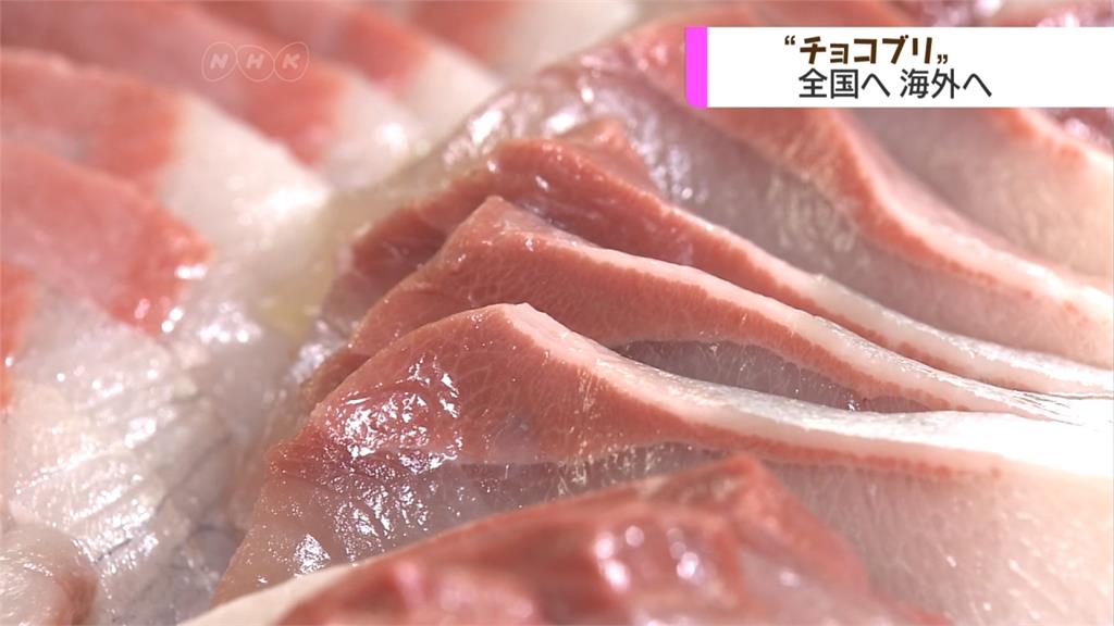情人節新選擇！日本壽司店推出巧克力鰤魚