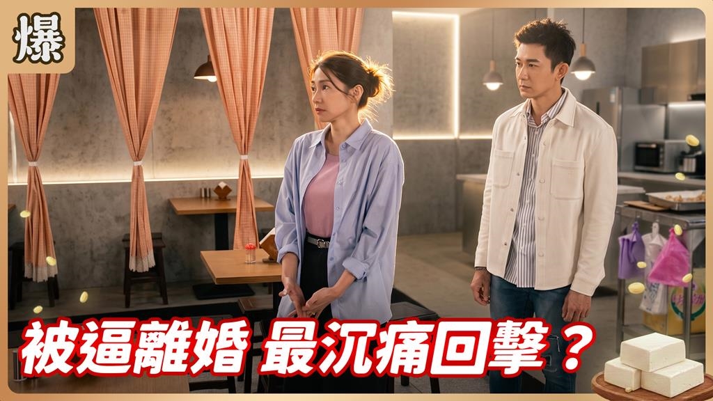《豆腐媽媽-EP150精彩片段》被逼離婚 最沉痛回擊？