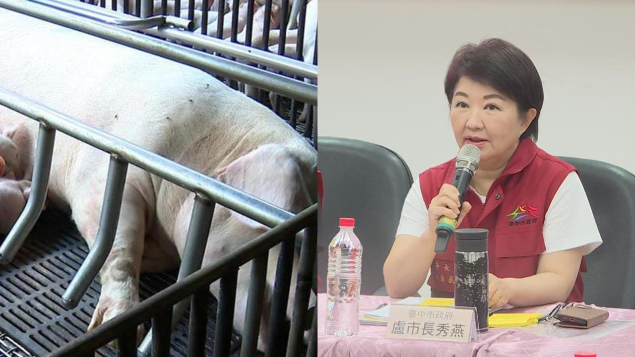 「Covid-19發生在她手上台灣已經完了」!她轟盧秀燕:沒資格選總統
