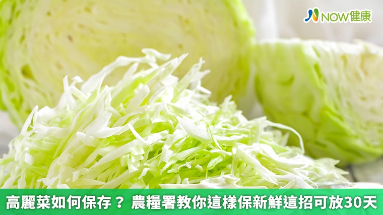 高麗菜如何保存？農糧署教你這樣保新鮮這招可放30天