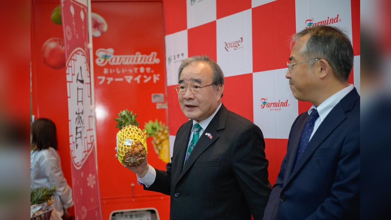 快新聞／「台灣祭」東京開跑！金鑽鳳梨現場秒殺　搶占國際舞台