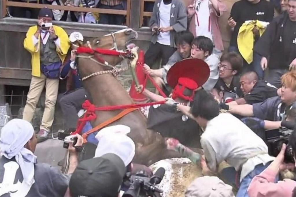 快新聞／日本三重1神社傳統儀式「害死無辜馬兒」　遭網友「大炎上」出征