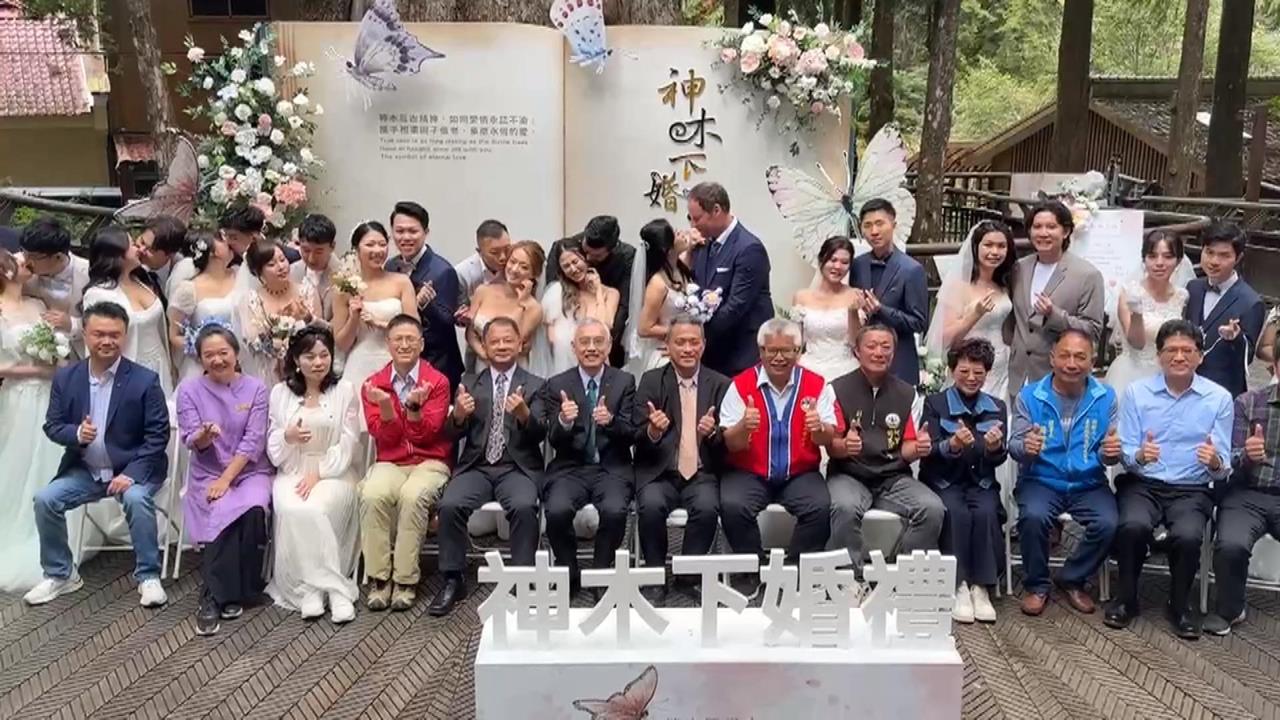 浪漫雲端婚禮! 阿里山神木見證 15對新人完婚