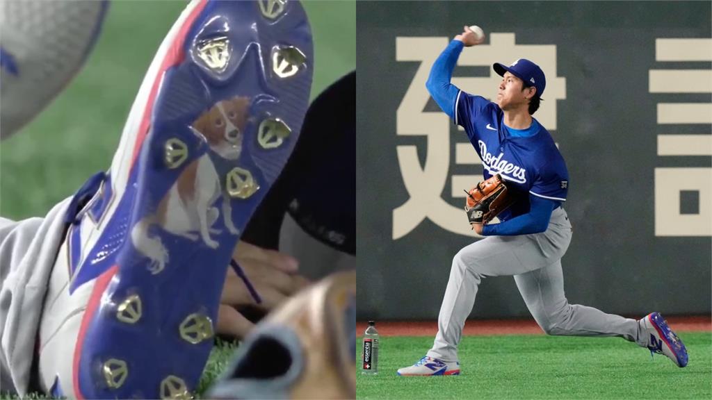 MLB(影)／網掀大谷釘鞋底出現DECOY　日本農田畫「大谷+愛犬」驚艷大聯盟