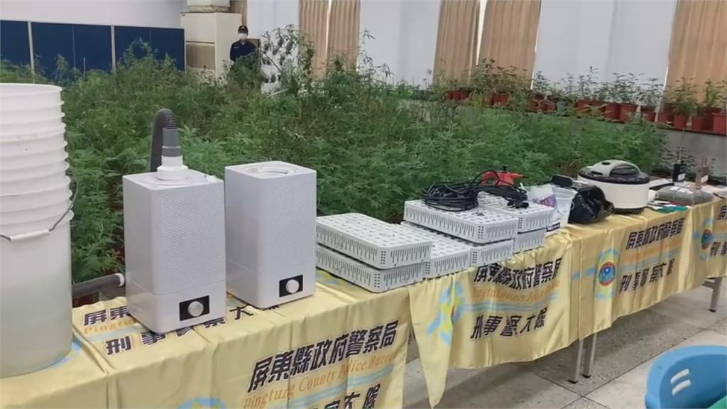 偵破竹田鄉大麻工廠「上億大麻曝光」 5百多株...烘乾機製作手法專業