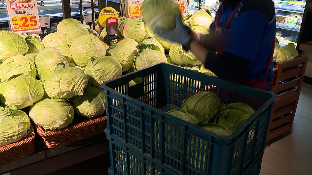 高麗菜價跌！產地價1顆剩10元　超市賣場促銷支持農民
