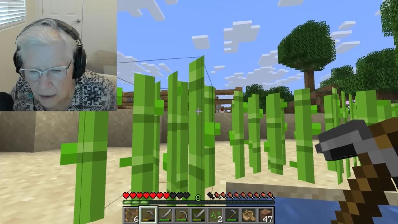 81歲阿嬤勇闖TY界「背後藏洋蔥」！募資助孫子抗癌引20萬網友力挺