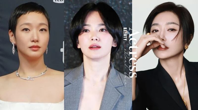 2025女星「短髮範本」推薦！宋慧喬、秦嵐極短髮又美又帥　減齡效果十足、入門款選它