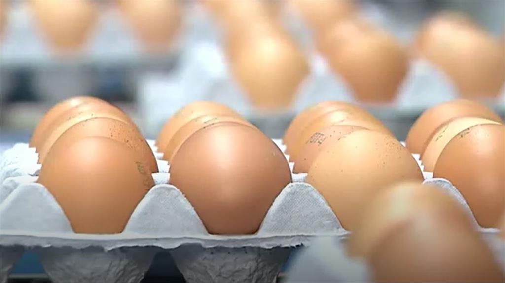 台灣鬧蛋荒、南韓廢棄2130萬顆蛋「浪費2億元」！稅金丟水溝原因曝