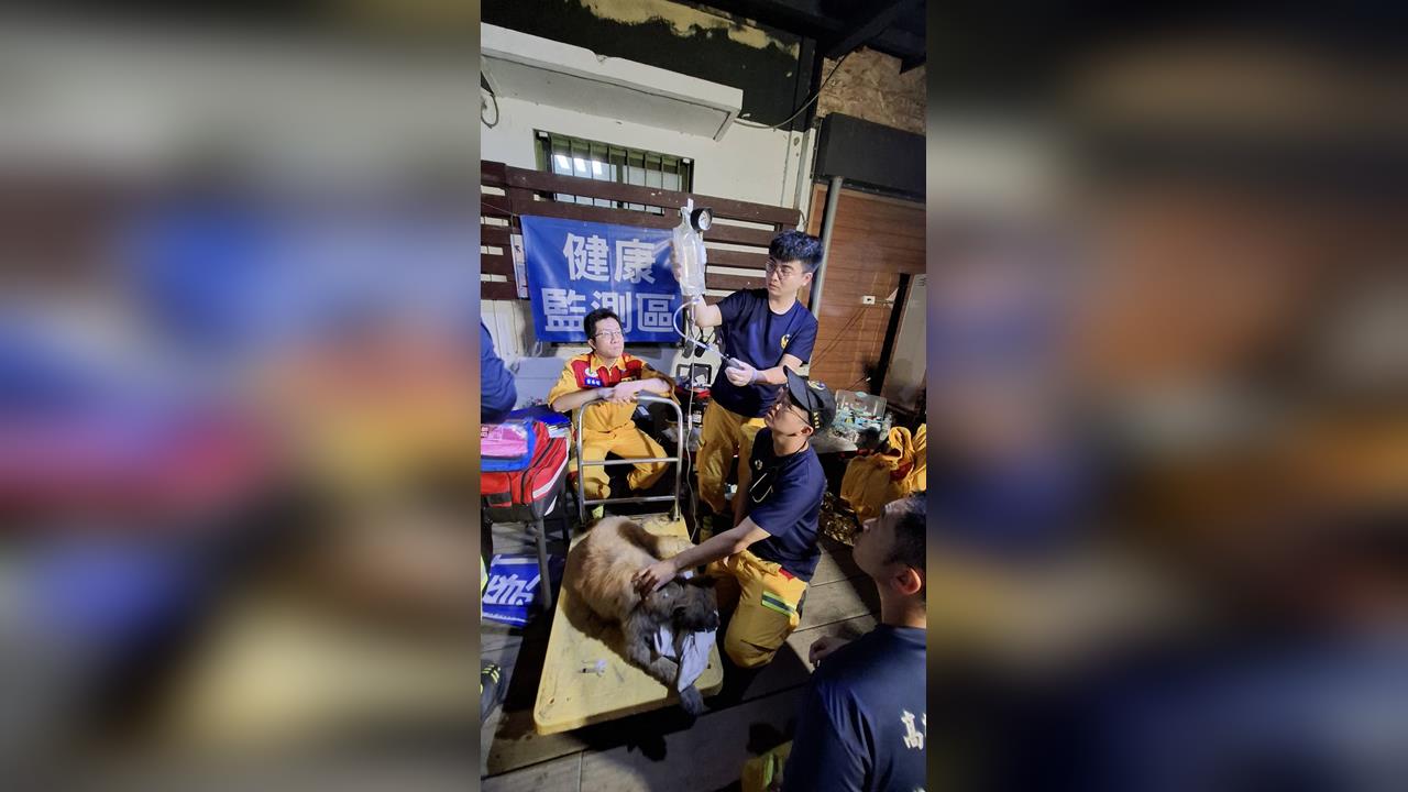 快新聞／高雄搜救隊火速馳援花蓮！28處任務完成4人4犬獲救　展現人道精神