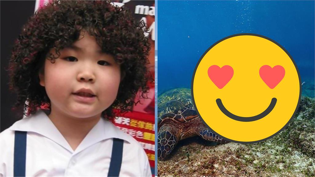 潛水妹「縮水衣太緊」竟是張君雅小妹妹！26歲耍辣模樣「判若兩人」