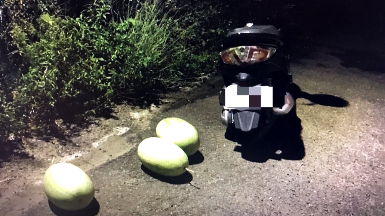 巡邏員警半夜護瓜 驚見老翁偷三顆大西瓜 
