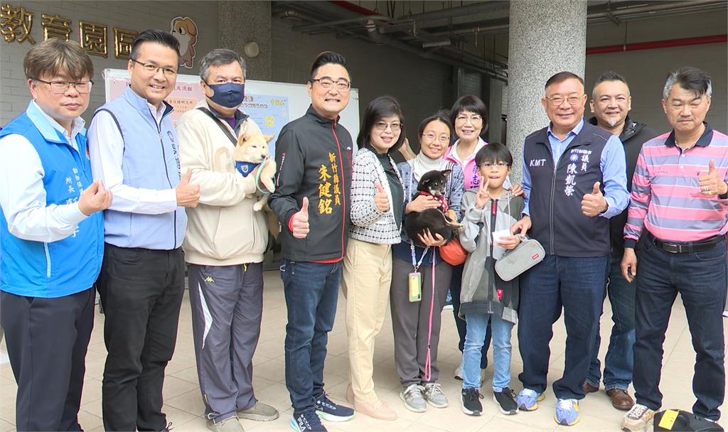 認養代替購買 新竹縣柴犬認養