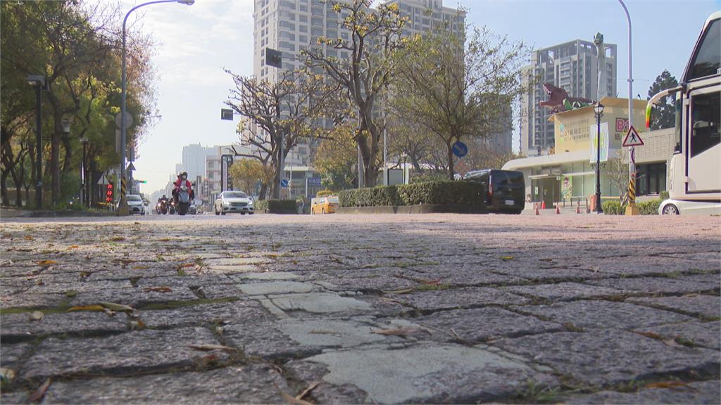 機車族夢魘！科博館紅磚路易滑　直擊摔車瞬間