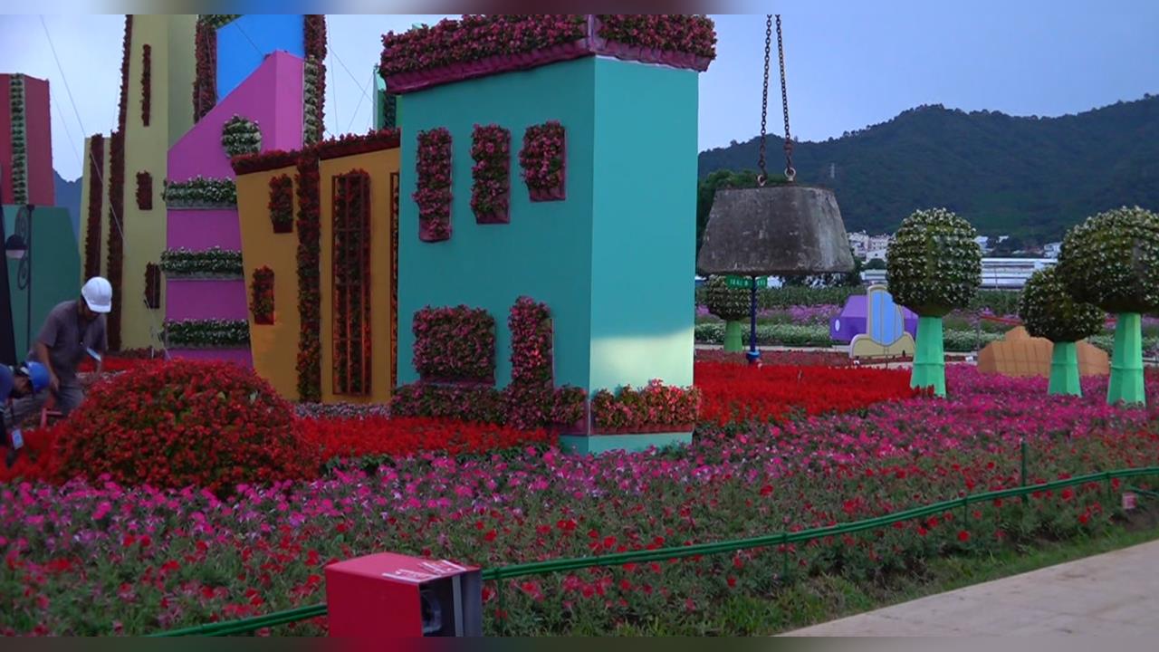 颱風逼近!國際花毯節急封園 豬瘟案場封鎖抗颱