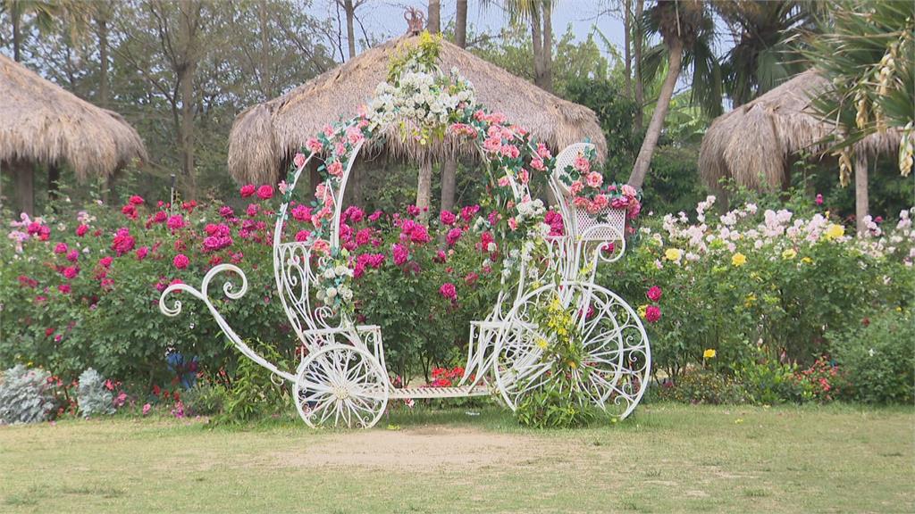 斗六雅聞峇里海岸打造觀光園區　宛如置身峇里島