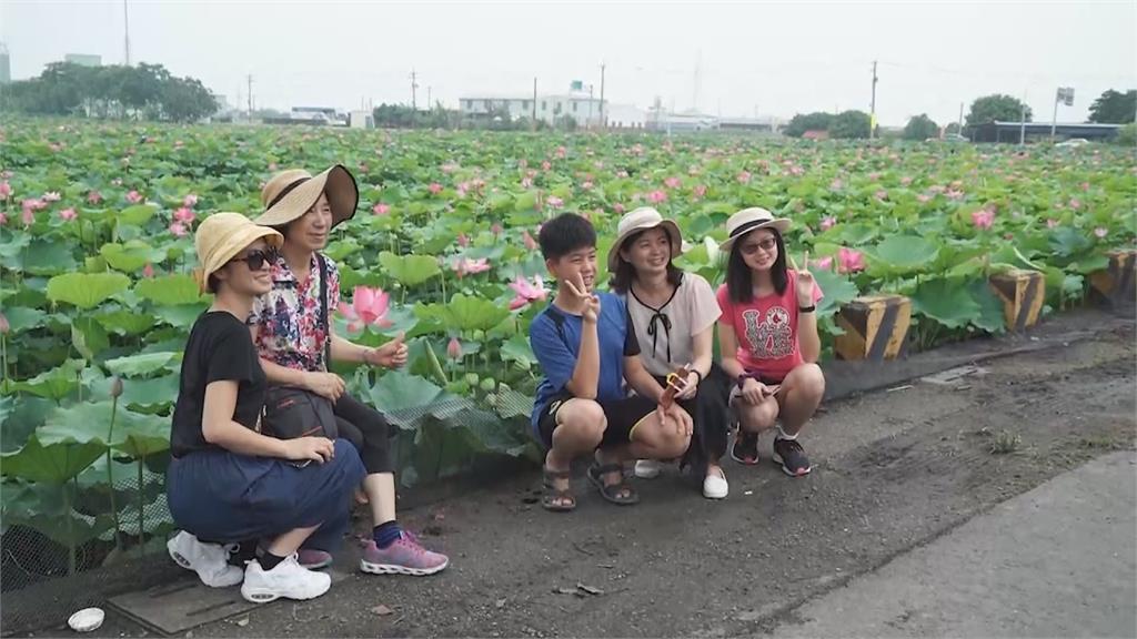 白河蓮花季開跑　黃偉哲邀遊客防疫健康遊