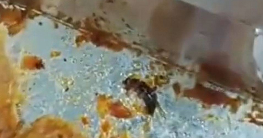 炸雞吃到蟲氣炸！他怒嗆「吃掉就算了」老闆抓起一口吞　客看傻：牛X