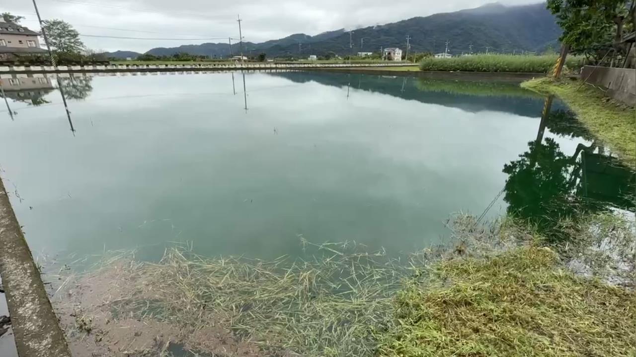 快新聞／青山「綠」水？宜蘭三星鄉水田遭染綠　環保局揪出兇手