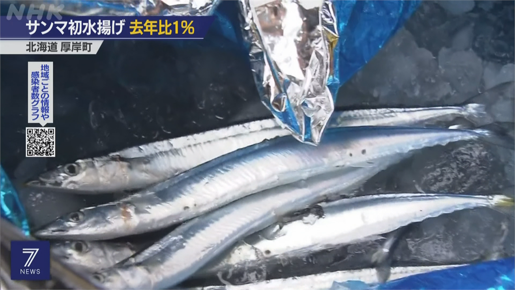 日本秋刀魚荒 首批漁船返港捕撈量只剩去年1%