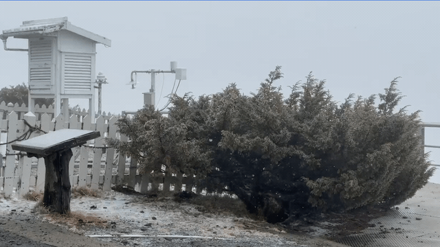 快新聞/玉山再度降雪變「夢幻銀白世界」! 浪漫飄雪畫面曝光