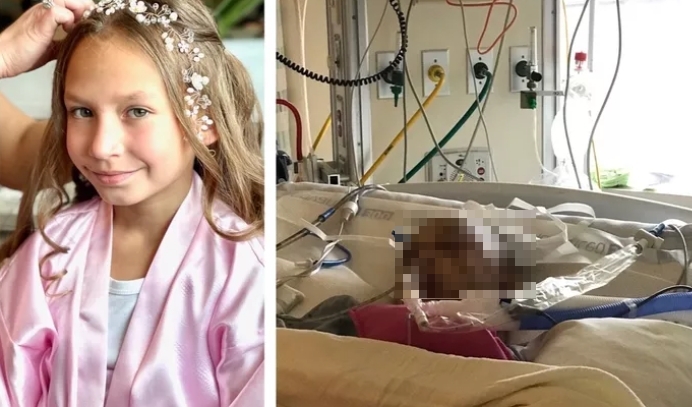 可怕！美洲獅闖露營區獸性大發　9歲女童遭撕咬緊急送醫