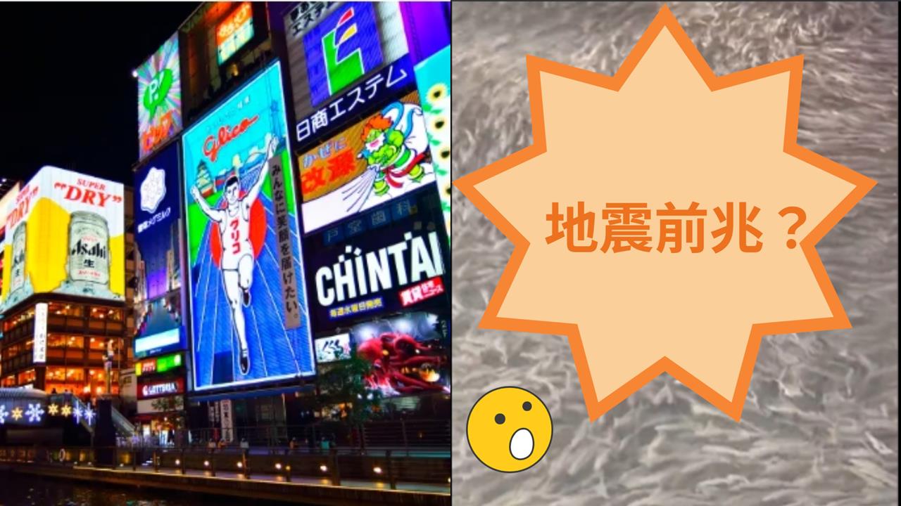大地震前兆？大阪道頓堀川突湧「巨量魚群」！異象曝光日網憂：該不會…
