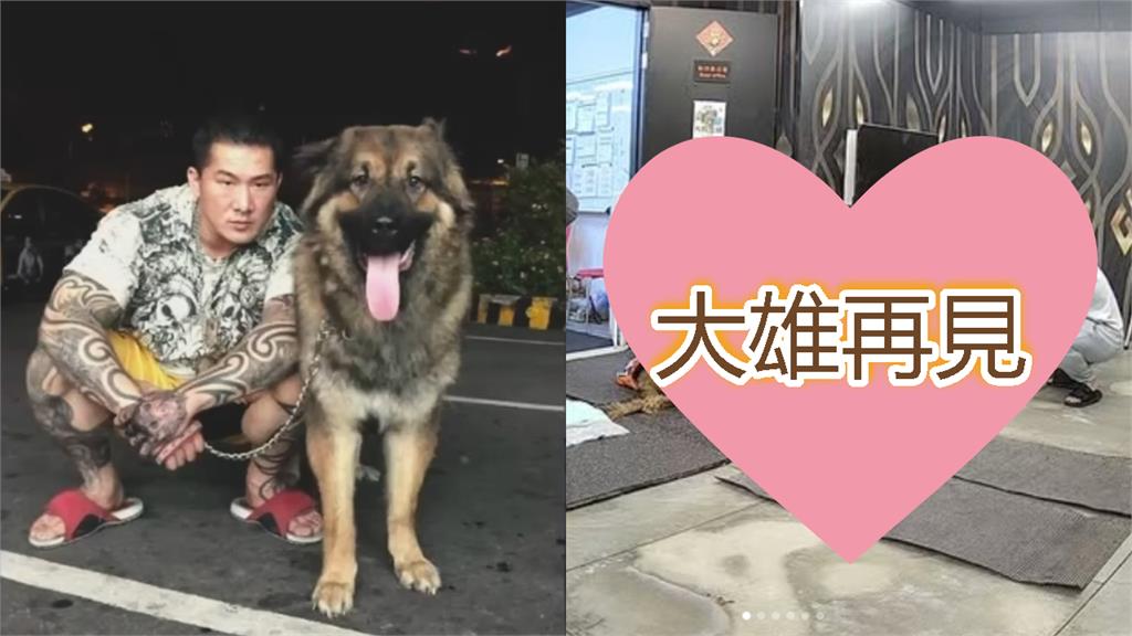 昔攻擊老婆害流產…館長愛犬離世！安樂死前夕「最後道別」畫面曝：我愛你兄弟