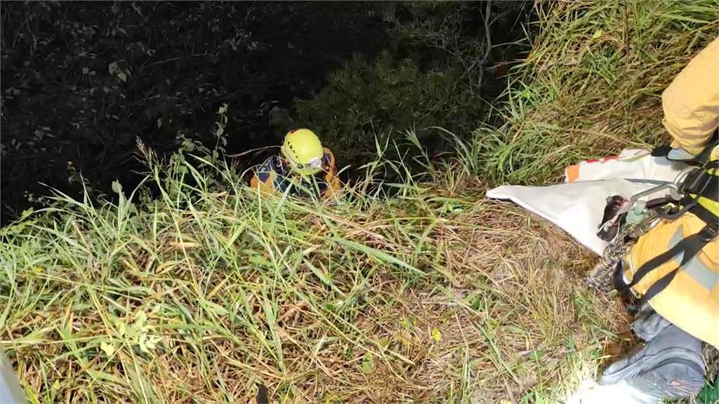 女子賞夜掉落大肚山坡　警消垂降10公尺救人
