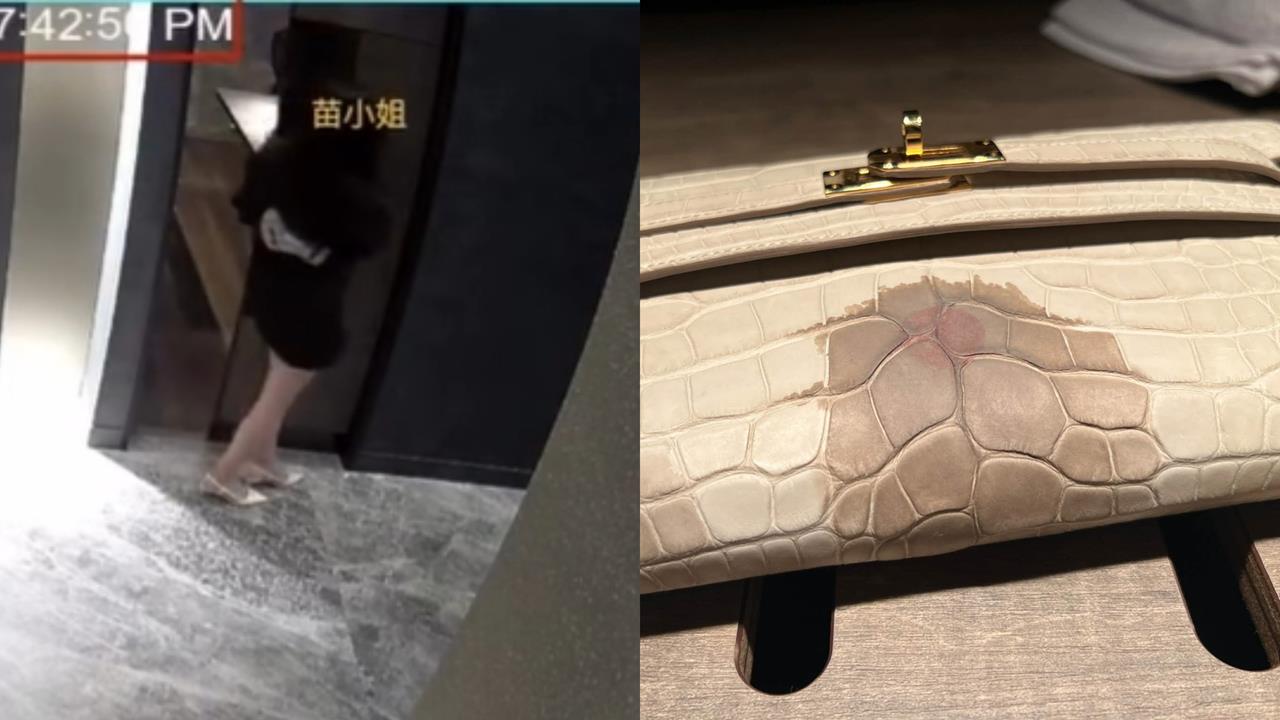 愛馬仕包「滴到紅酒」貴婦怒求償93萬！富錦樹公布「錄音、監視器」反擊