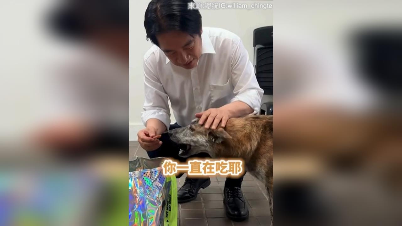 快新聞／賴清德超寵毛孩！親餵「總統認證狗零食」　斑斑秒嗑萌翻網友