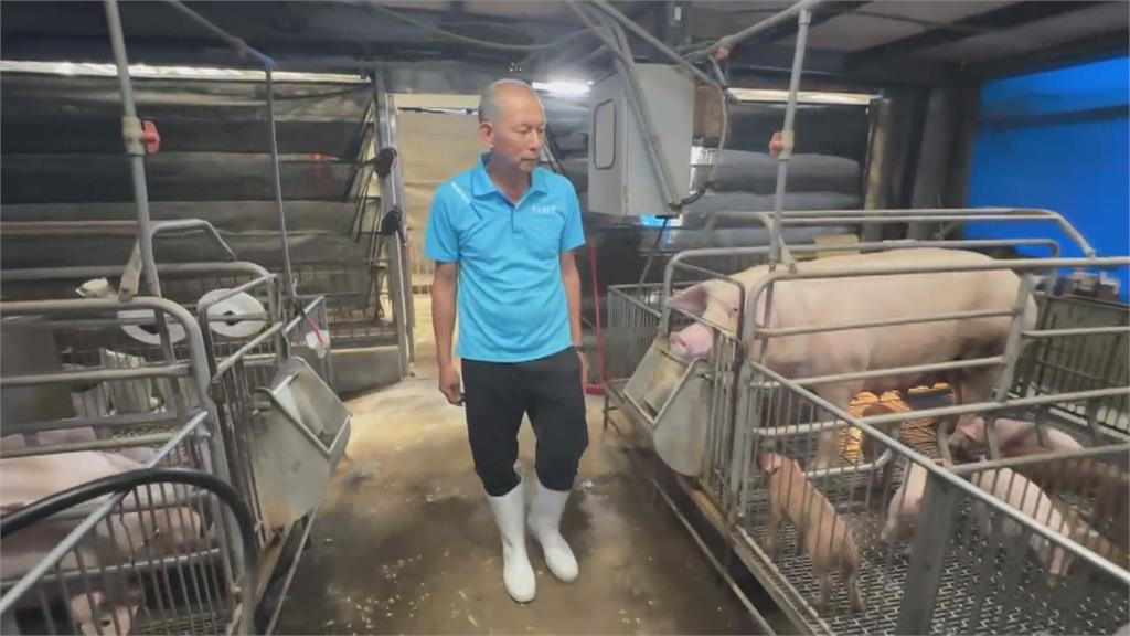 全國養豬協會憂台對美「零關稅」　豬農：產地標示一定要清楚