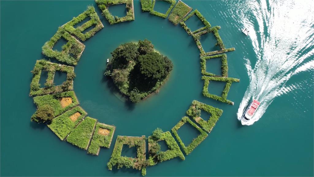 日月潭「拉魯島」草環變逗號？　日管處：不排除人為破壞