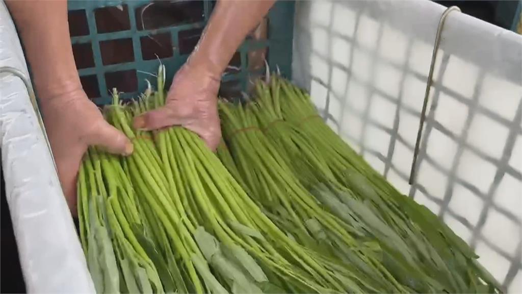 蘇拉颱風逼近菜價恐再漲　東部現「搶菜潮」結帳等半小時