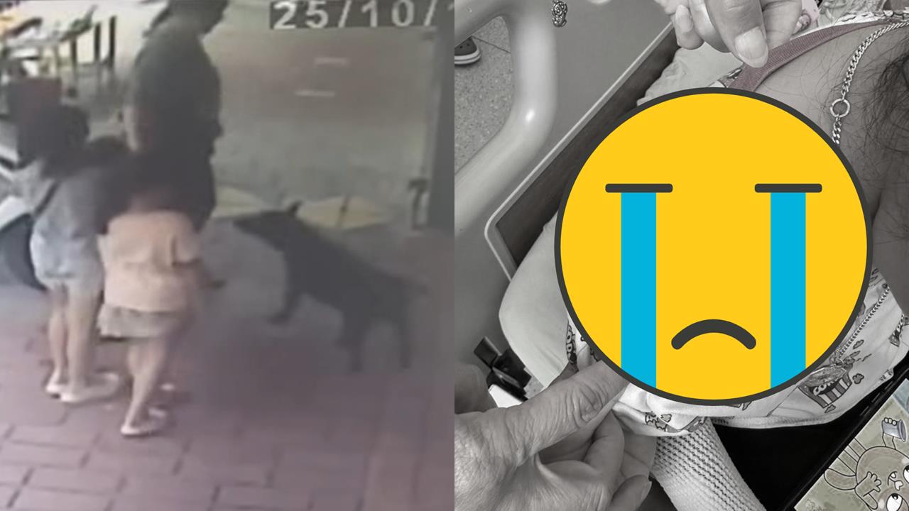 三義木雕街黑狗「突暴衝咬3女童」！驚險畫面曝光…店家急喊冤：狗不是我養的