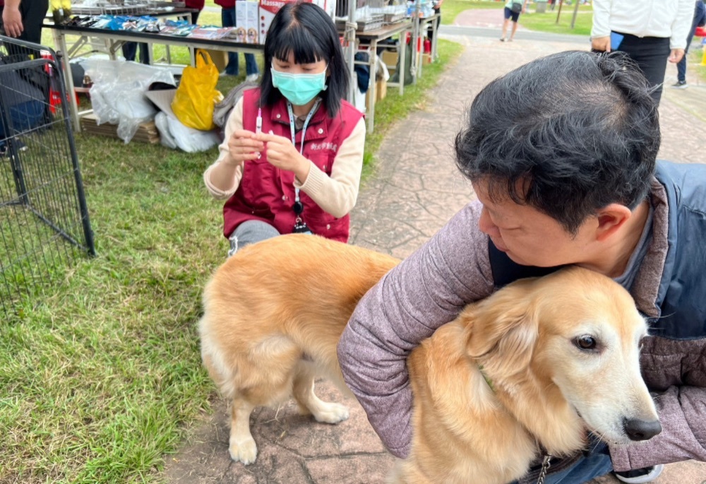 新北犬貓絕育補助今日開跑　動保處提醒沒結紮最高罰5萬