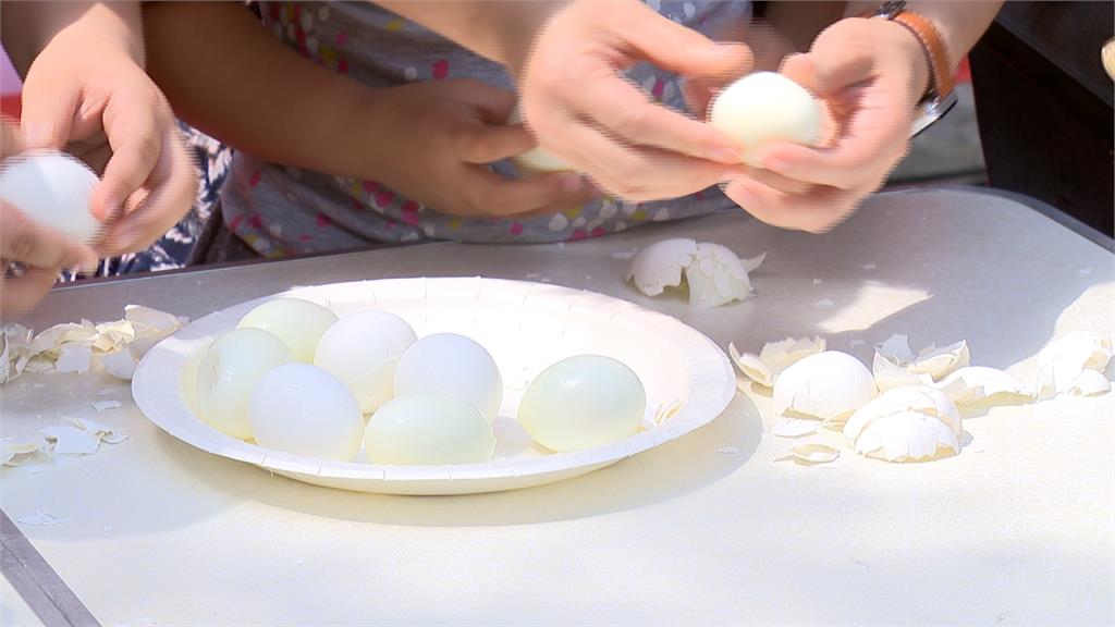 蛋價回穩！農委會推廣新鮮、營養國產雞蛋